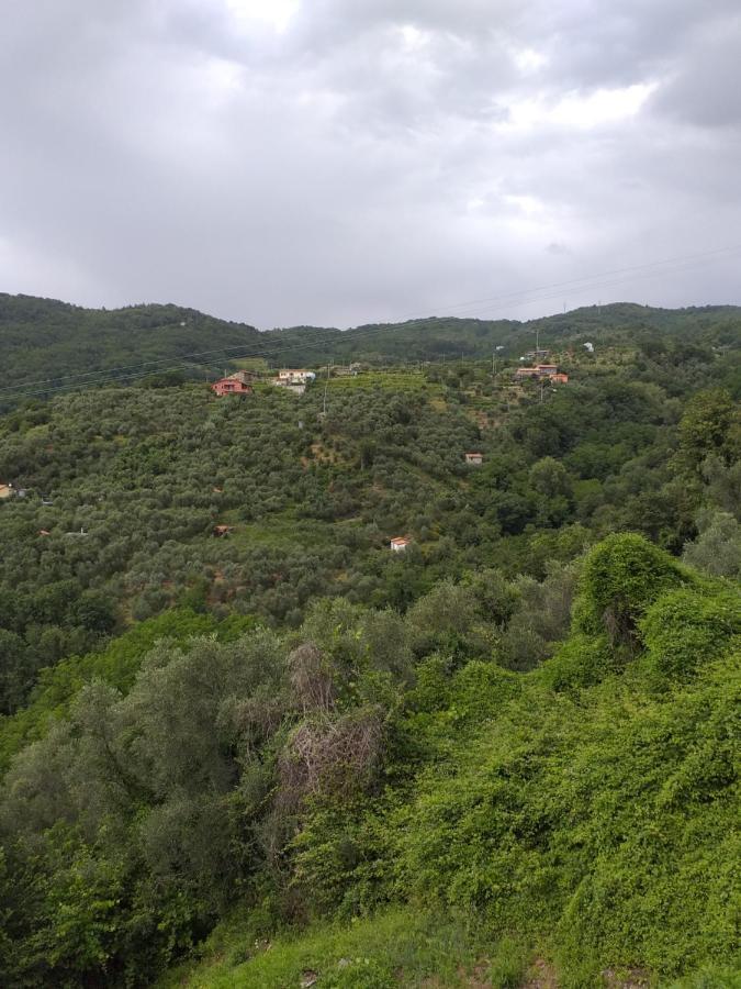 Casa Di Vecchio Borgo Villa Sarzana Bagian luar foto